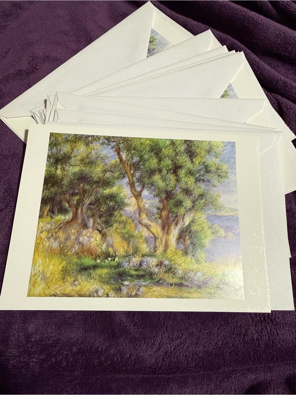 Set of 10 vintage notecards and envelopes featuring Renior’s painting